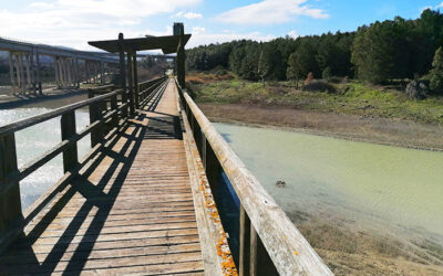 PA.026 – Valorizzazione turistica del lago di Guardialfiera Regione Molise