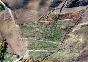 PA.031 – Mitigazione e messa in sicurezza dal rischio idrogeologico in Località Pisaturo nel Comune di Campolieto (CB)