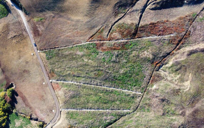 PA.031 – Mitigazione e messa in sicurezza dal rischio idrogeologico in Località Pisaturo nel Comune di Campolieto (CB)